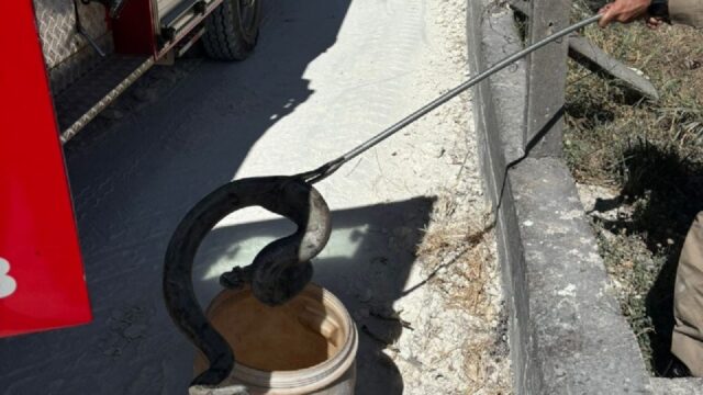 Corpo de Bombeiros resgata jiboia em empresa de Catalão