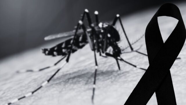 Uberlândia registra primeira morte por dengue em Minas Gerais em 2026