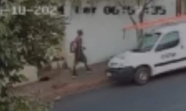 VÍDEO: Câmera de segurança flagra momento em que homem chuta cachorro em Uberlândia, animal não resistiu e morreu no local