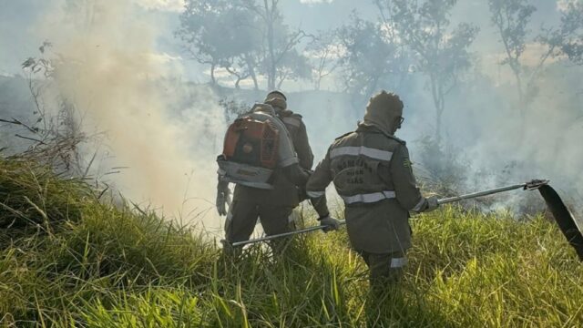 Bombeiros combatem incêndio de grandes proporções em área de pasto próxima ao bairro Pontal Norte em Catalão