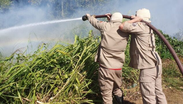 Corpo de Bombeiros combate incêndio no Parque Municipal Pirapitinga em Catalão
