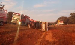 Grave acidente com caminhão cegonha na BR-060 deixa motorista morto em Abadiânia, GO Grave acidente com caminhão cegonha na BR-060 deixa motorista morto em Abadiânia, GO