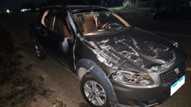 Veículo capota após motorista desviar de cavalo na GO-210 entre Goiandira a Catalão