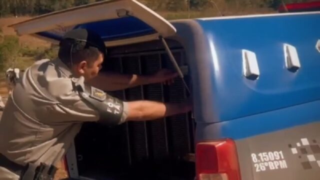 Homem suspeito por tráfico de drogas foragido da justiça é preso na zona rural de Caldas Novas
