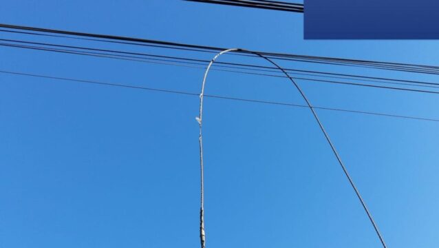 Fornecimento de energia no Bairro Ipanema e adjacentes, em Catalão, é interrompida por causa de curto-circuito provocado pelo impacto de aves na rede elétrica