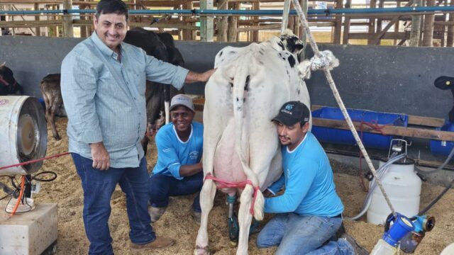 ExpoCatalão 2024: Torneio Leiteiro da COACAL premia vaca Cachoeira com alta produção de 94 kg de leite por dia