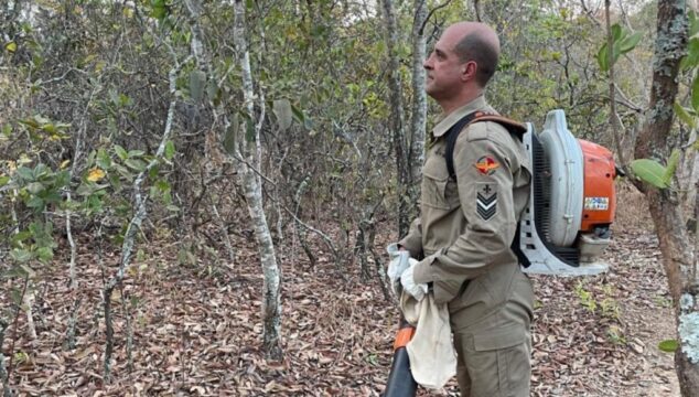 Incêndio em vegetação no Pasto do Pedrinho mobiliza Bombeiros em Catalão