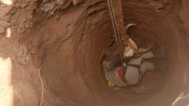 Boi cai em cisterna destivada e é resgatado por bombeiros de Catalão