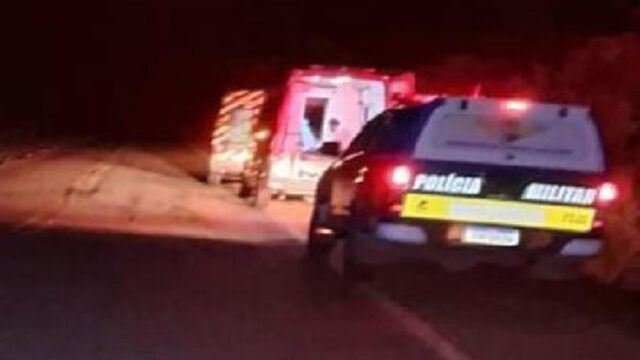 Caminhonete capota ao desviar de animal na GO-330 e deixa passageiro ferido entre Catalão e Ipameri
