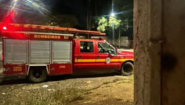 Homem entra em choque anafilático após ser atacado por enxame de abelhas no meio da rua em Uberlândia