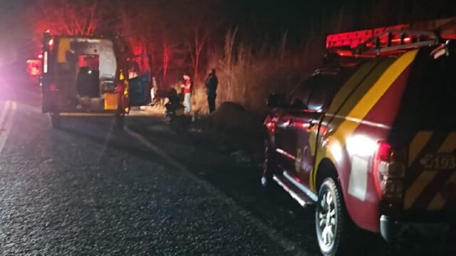 Motociclista de 24 anos colide com tamanduá-bandeira na rodovia e é socorrido pelo Corpo de Bombeiros