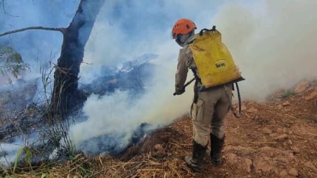 Incêndio atinge fazenda em assentamento rural e mobiliza Bombeiros de Ipameri