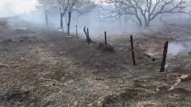 Incêndio de grandes proporções em vegetação atinge município Catalão, sentido Ipameri