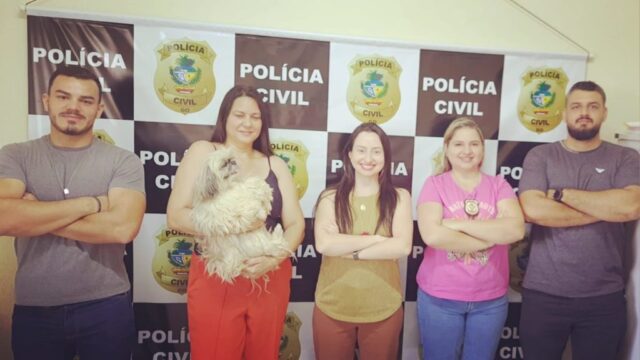 Polícia Civil de Catalão identifica suspeito e recupera cão de raça furtado no bairro Nossa Senhora de Fátima