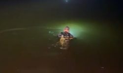 Funcionário morre afogado após cair com carro em represa na zona rural de Cocalzinho de Goiás Funcionário morre afogado após cair com carro em represa na zona rural de Cocalzinho de Goiás