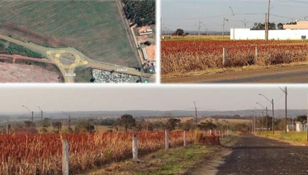 MPGO faz recomendação a produtores rurais e município de Goiandira sobre proibição de uso de defensivos em zona urbana