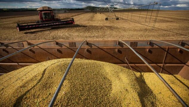 Catalão está entre as 100 cidades mais ricas do agronegócio no Brasil; Goiás tem 11 municípios na lista