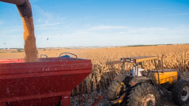 Mercado de trabalho do agronegócio goiano atinge recorde em série histórica