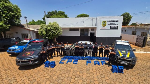 CPE e PRF apreendem 200 kg de maconha avaliada em R$ 600 mil na BR-050, em Campo Alegre de Goiás; motorista fugiu