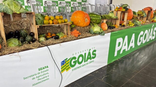 Governo de Goiás divulga resultado definitivo do PAA Goiás 2024
