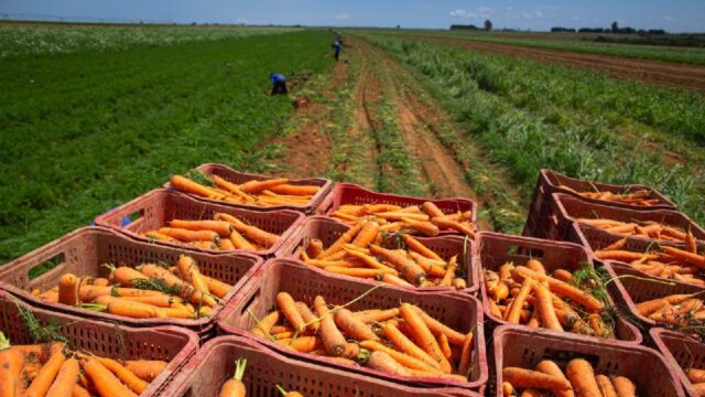 Economia de Goiás cresce acima da média nacional