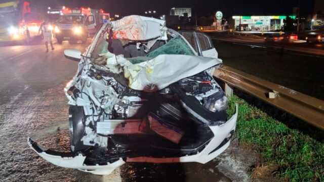 Dois cavalos invadem BR-060 e causam acidente com feridos graves em Anapólis
