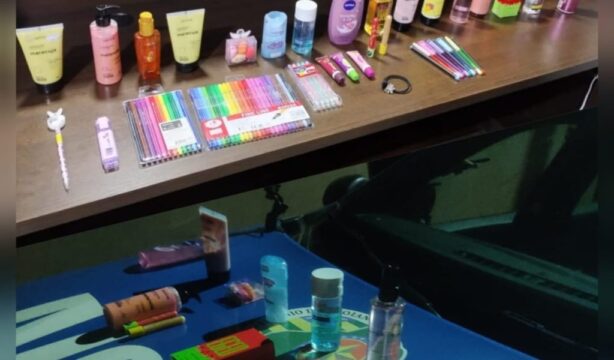 Polícia Militar de Orizona recupera produtos furtados e apreende adolescente de 12 anos envolvida no crime