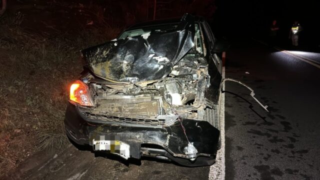 Motorista atinge bovino solto na GO-309 e veículo fica destruído em Pires do Rio