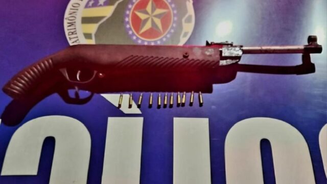 Homem de 65 anos é preso com arma de fogo na zona rural de Davinópolis