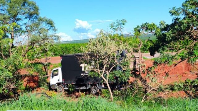 Caminhão sai da pista após motorista cochilar na MG-190, em Monte Carmelo