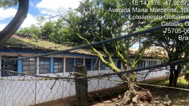 Bombeiros realizam remoção de árvore caída em escola após fortes chuvas em Catalão