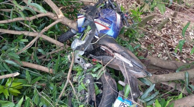 Acidente com capivara deixa dois feridos na GO-210, em Nova Aurora