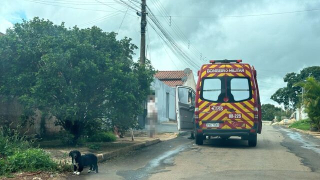 Homem fica ferido em agressão física entre familiares no Bairro Paineiras, em Catalão