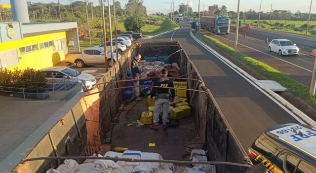 PRF apreende mais de 4 toneladas de maconha e prende caminhoneiro em Uberaba; droga seria entregue em Uberlândia