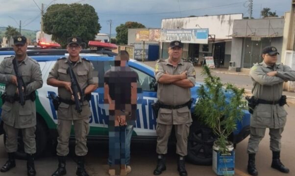 Polícia apreende pés de maconha em residência durante operação em Pires do Rio