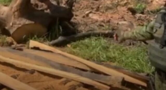 Batalhão Ambiental flagra supressão de vegetação na zona rural de Orizona