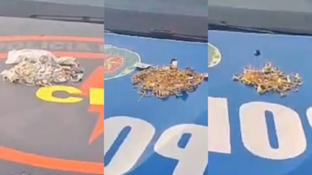 Polícia recupera joias avaliadas em R$ 166 mil após furto em joalheria em Morrinhos