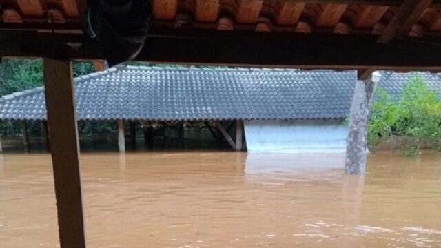 Chuva intensa transborda Ribeirão da Custódia, invade casas e causa prejuízos em Catalão