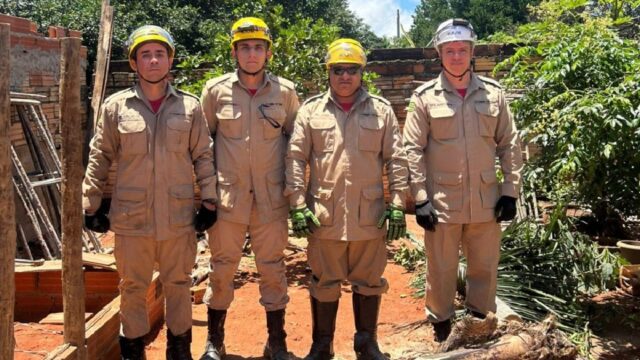 Árvore de 10 metros é removida com segurança pelo Corpo de Bombeiros em Ipameri