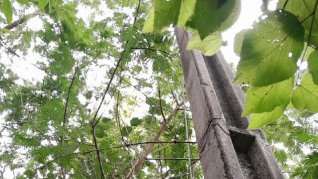 Equatorial Goiás prepara ação de limpeza de faixa na zona rural de Goiandira