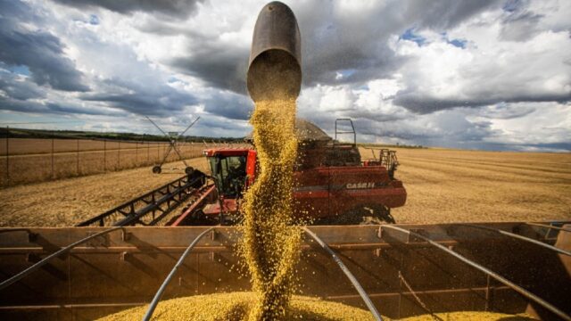 Goiás deve bater recorde na colheita de grãos em 2025