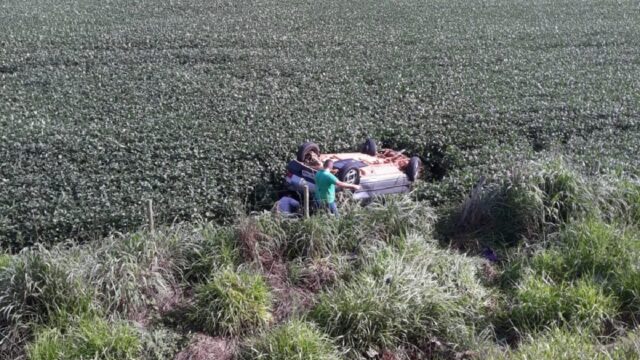 Motorista fica ferido em acidente após capivara atravessar pista na GO-210 em Davinópolis