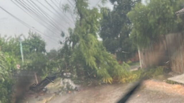 Vídeo: fortes chuvas e ventos causam estragos em Cristalina, Goiás