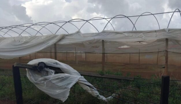 Catalão: Equatorial Goiás alerta para previsão de temporal na cidade