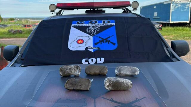 COD apreende haxixe marroquino avaliado em R$ 35 mil que seria comercializado no DF