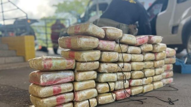 PRF apreende droga em veículo transportado por caminhão-cegonha na BR-153, em Aparecida de Goiânia