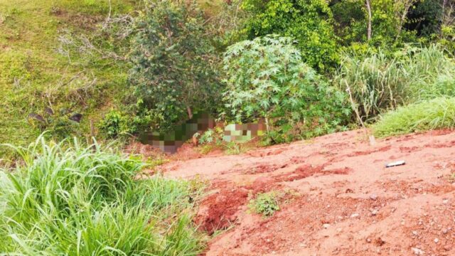 Corpo mutilado é encontrado às margens da GO-330 em Pires do Rio