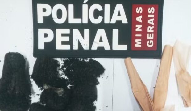 Mulheres são flagradas com drogas escondidas nas partes íntimas durante visita a presos em Uberlândia