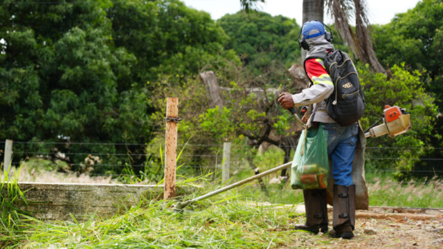 Prefeitura de Catalão notifica todos os proprietários para limpeza de terrenos até 7 de março e alerta sobre multas que podem chegar a R$ 1,2 mil