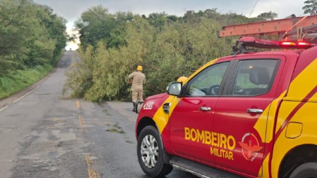 Bombeiros removem árvore caída e liberam trânsito na GO-330, entre Catalão e Ipameri